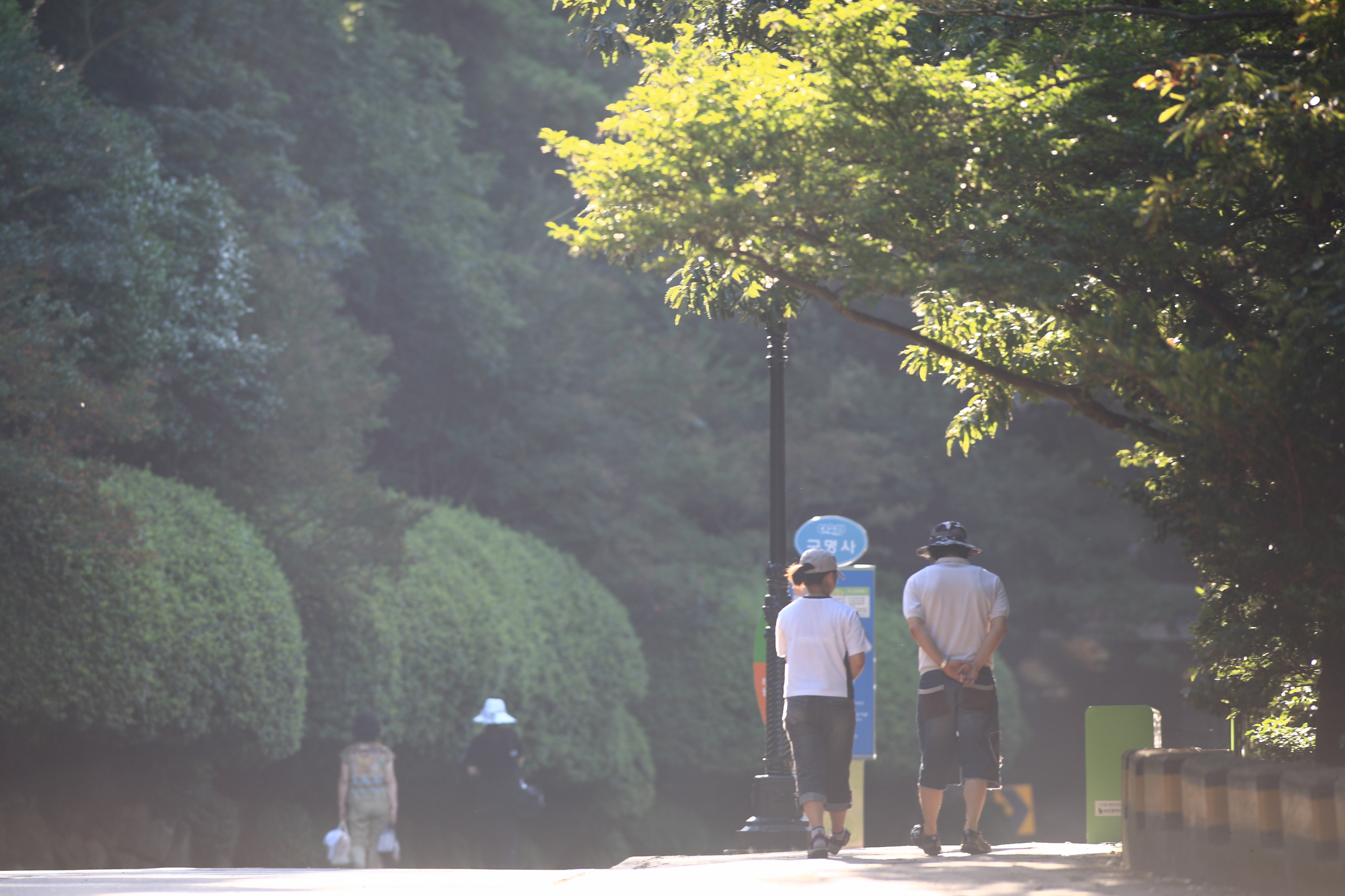 20080802 부산 IMG 8635